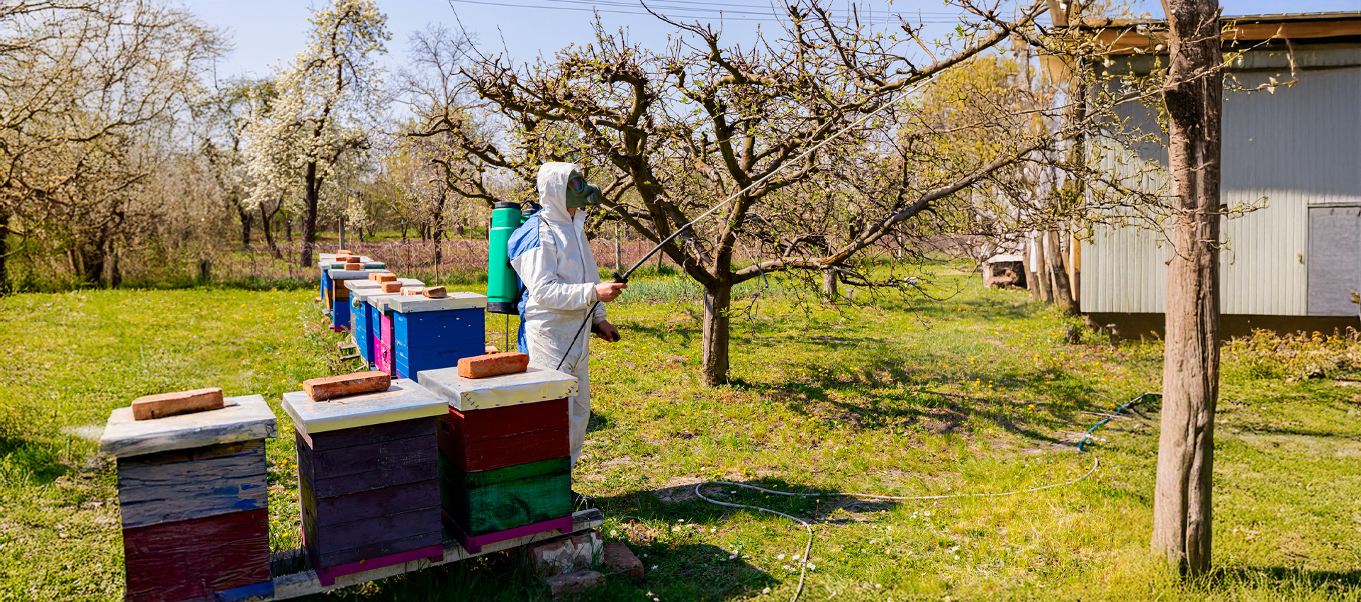 Minimizing Pesticide Use