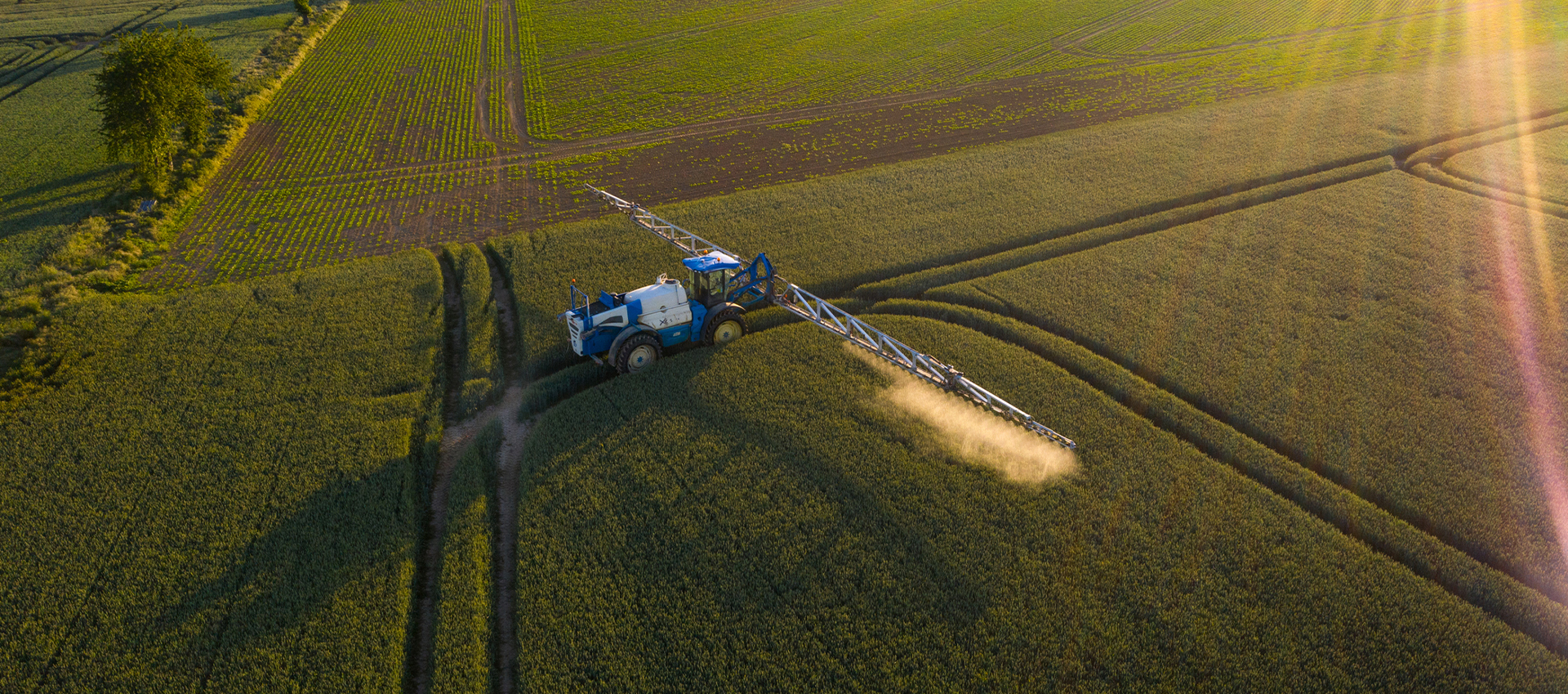 The dangers of pesticides