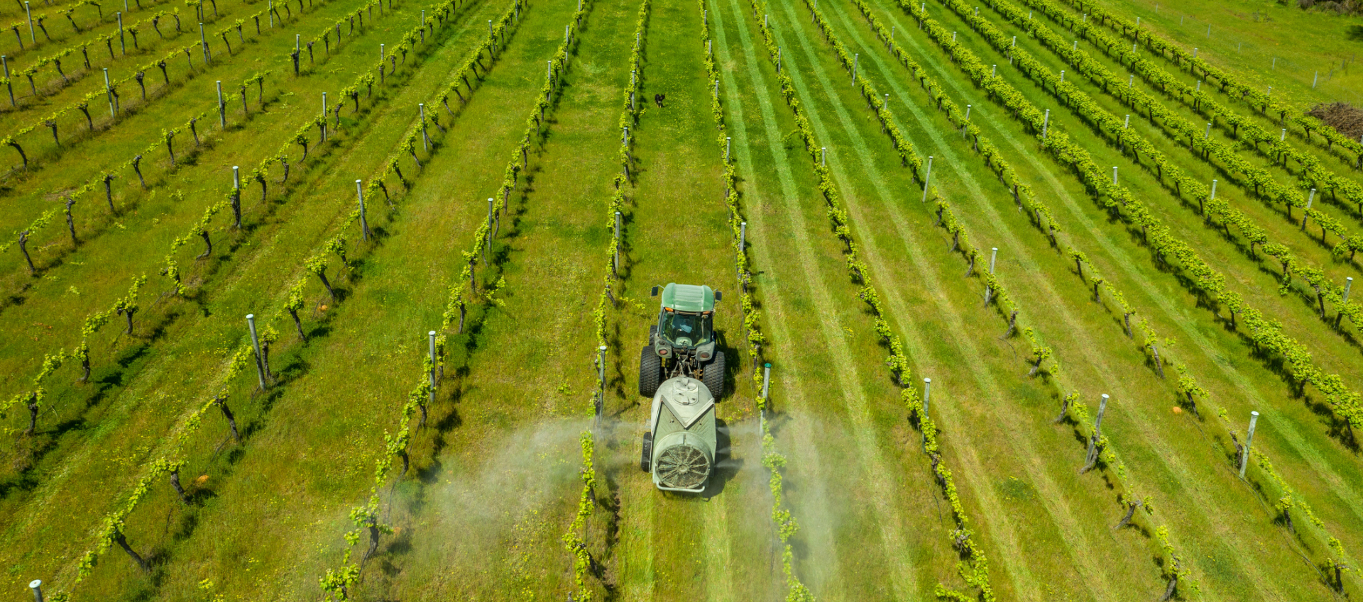 Impact of Pesticides